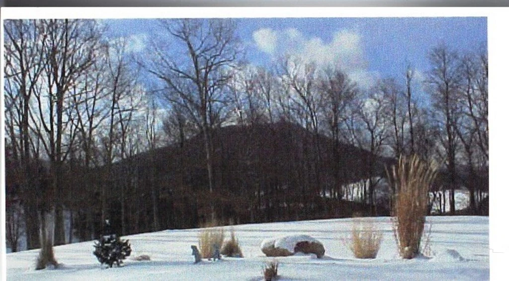 Image number 10 for the current listing