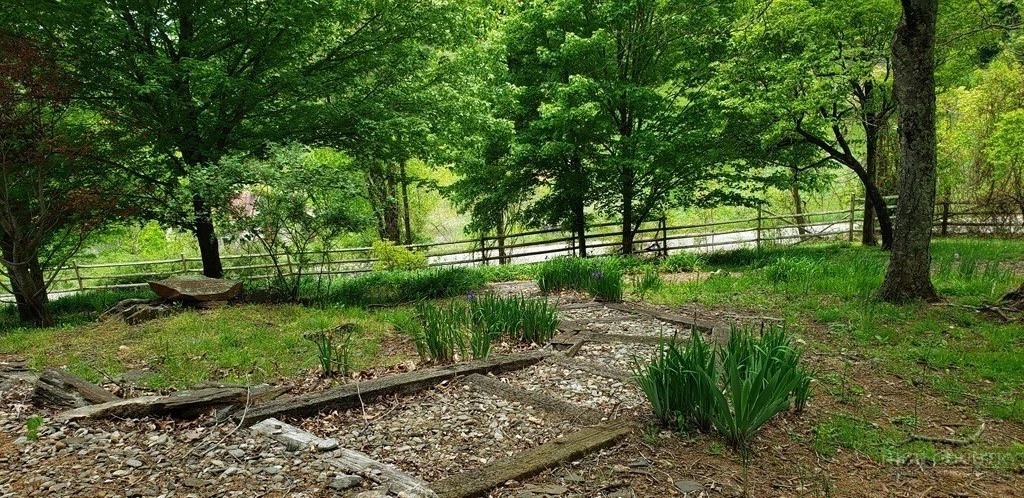 Image number 12 for the current listing