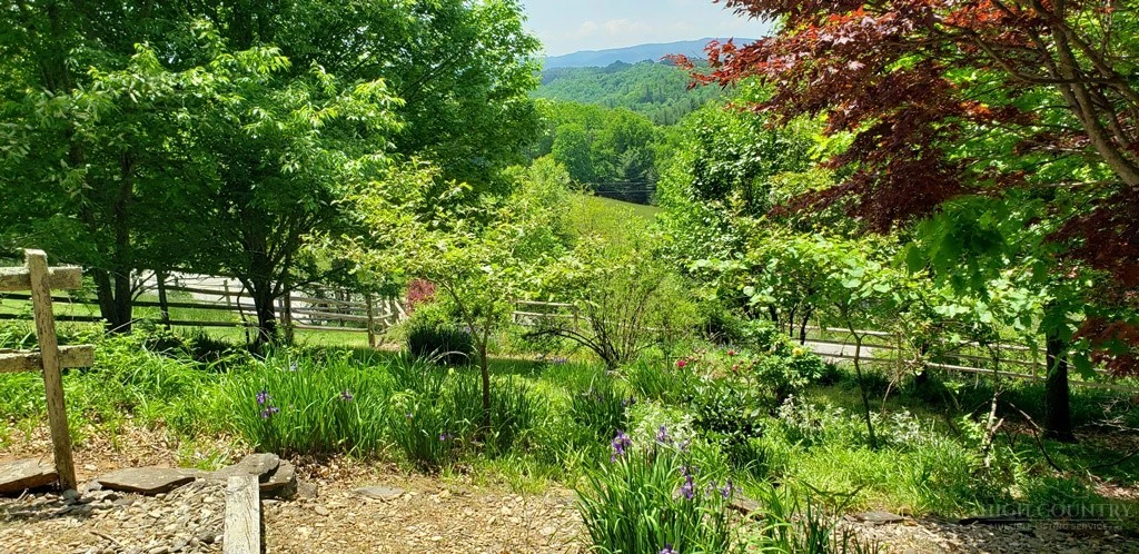 Image number 14 for the current listing