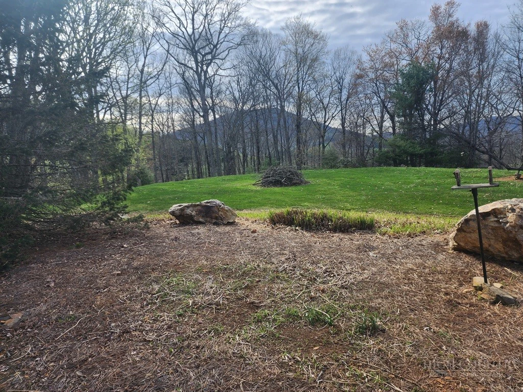 Image number 15 for the current listing