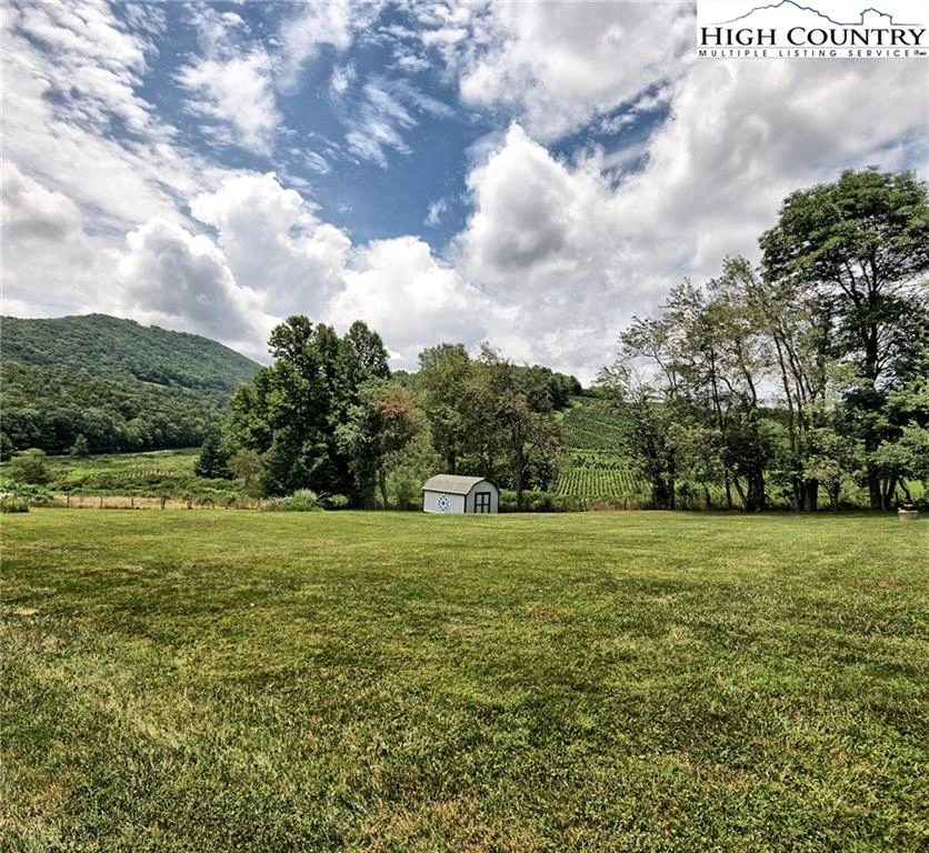 Image number 3 for the current listing