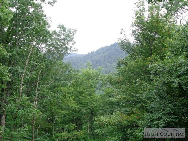 Image number 14 for the current listing