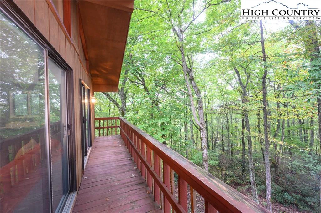 Image number 2 for the current listing