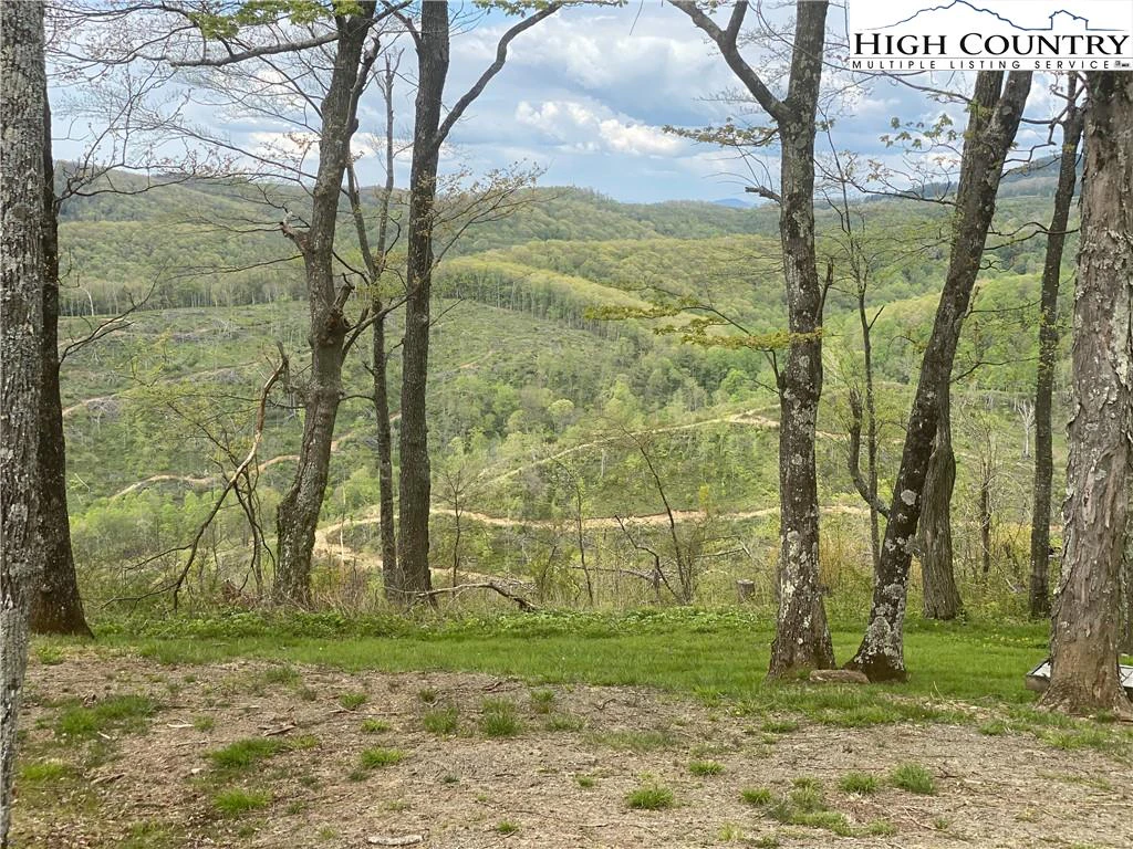Image number 11 for the current listing