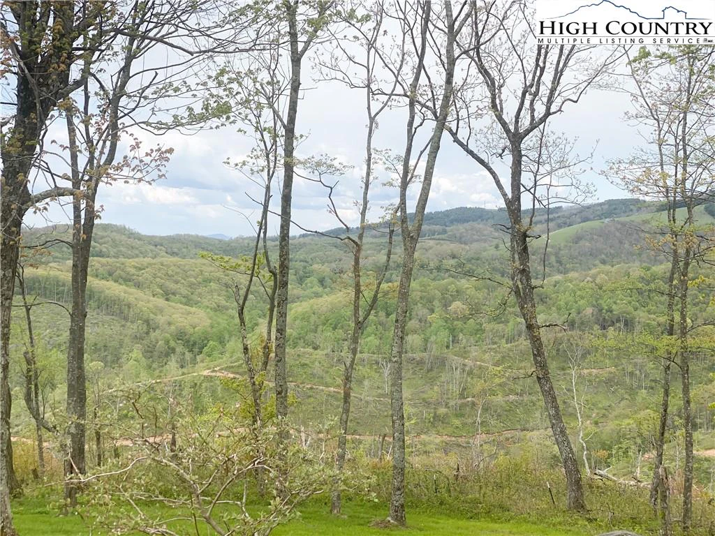 Image number 2 for the current listing