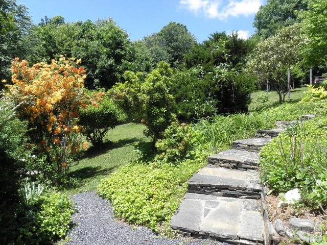 Image number 6 for the current listing