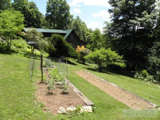 Image number 8 for the current listing