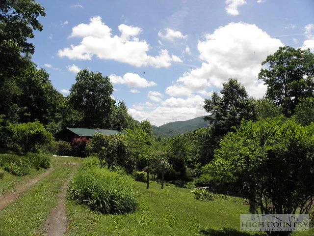 Image number 15 for the current listing