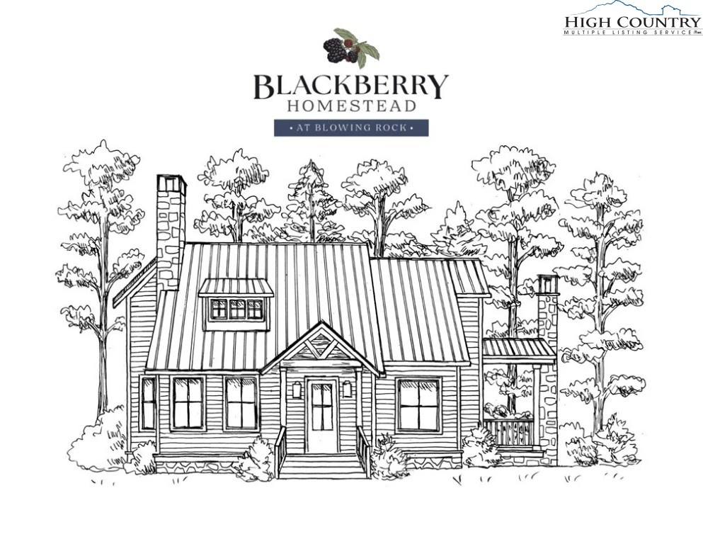 Image number 1 for the current listing
