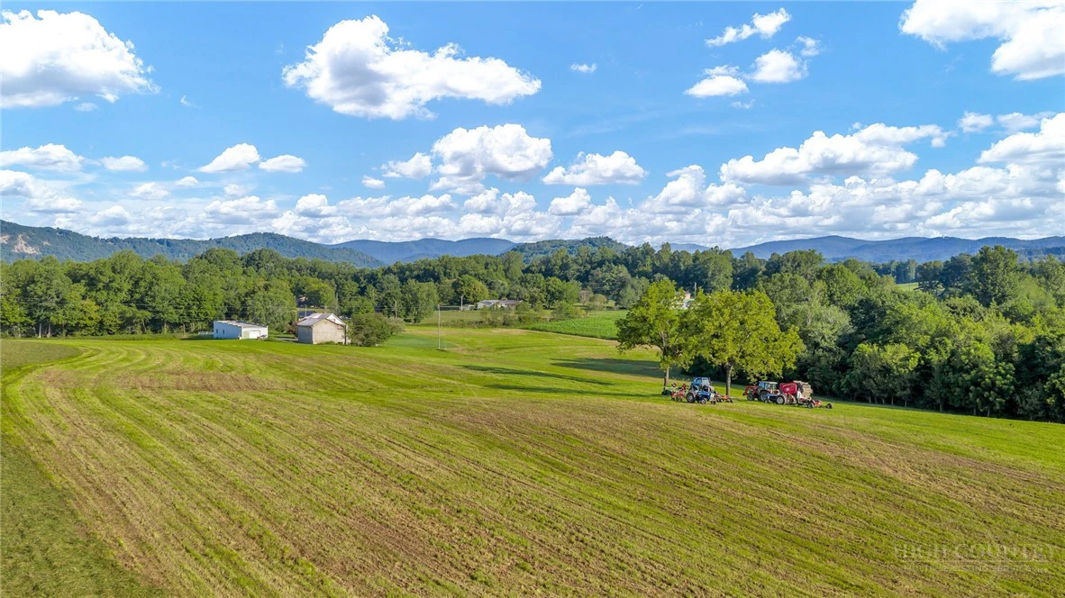 Image number 11 for the current listing