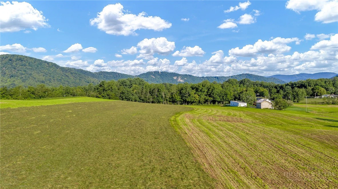 Image number 12 for the current listing
