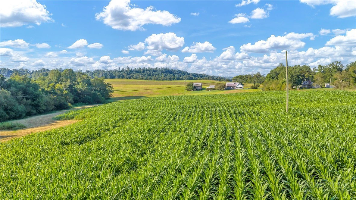 Image number 14 for the current listing