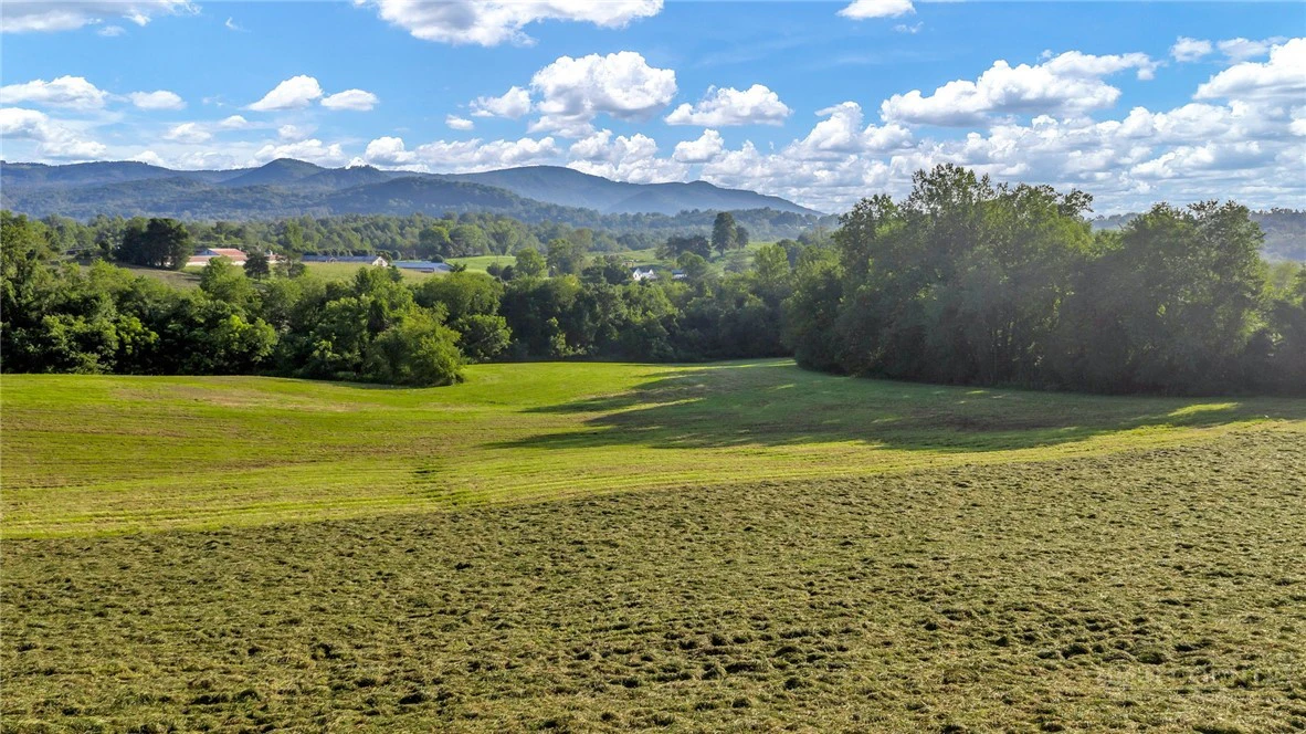 Image number 18 for the current listing