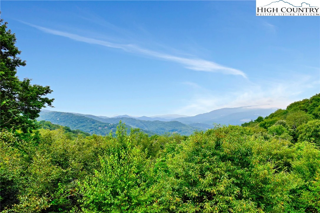 Image number 1 for the current listing