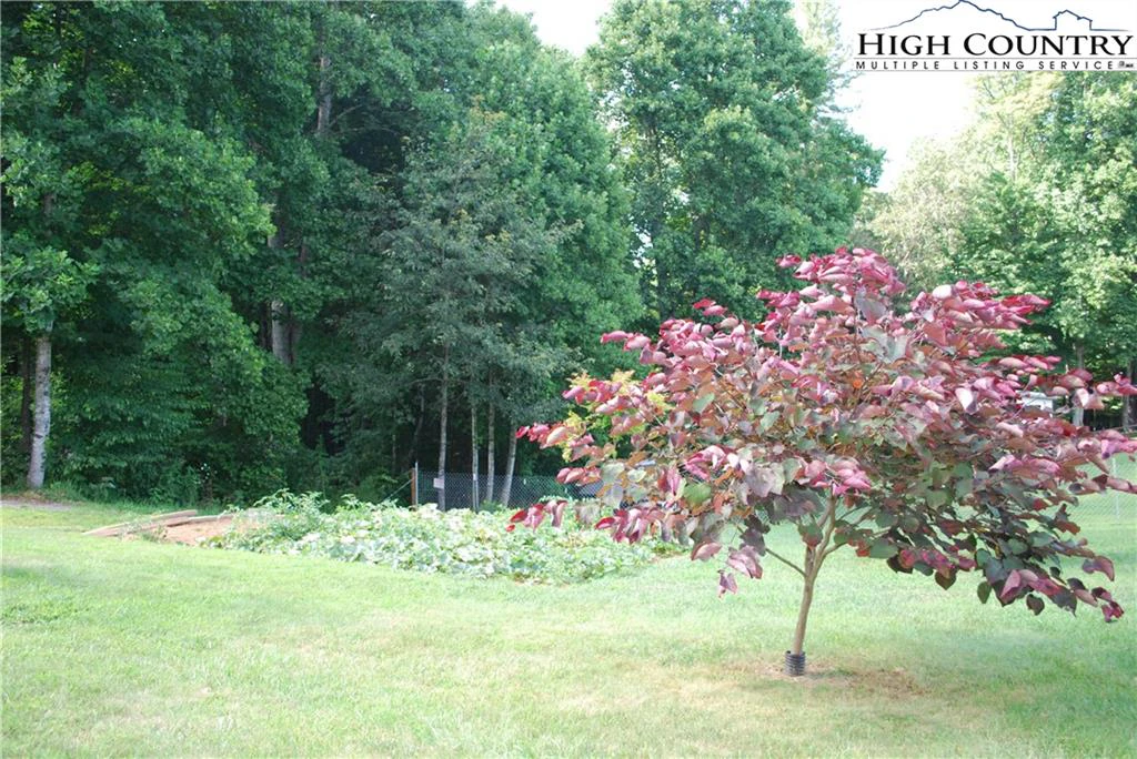 Image number 29 for the current listing