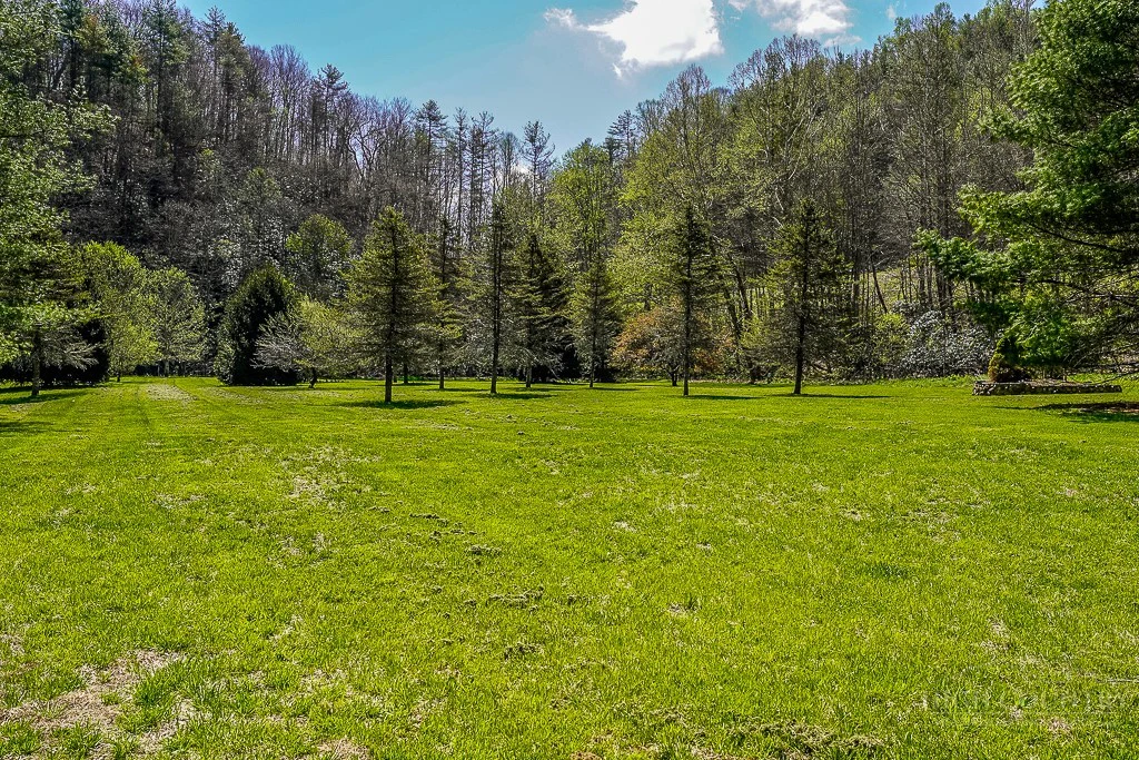Image number 3 for the current listing