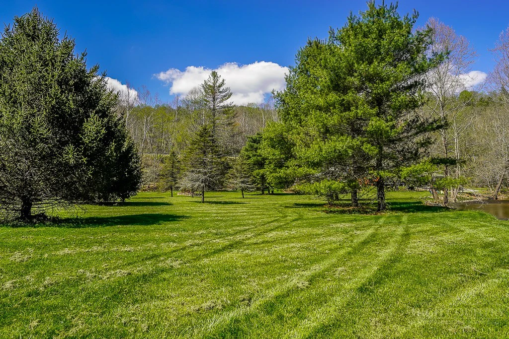 Image number 4 for the current listing