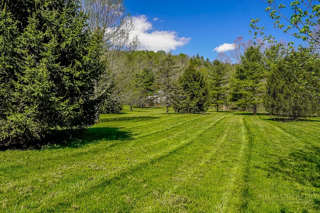 Image number 5 for the current listing