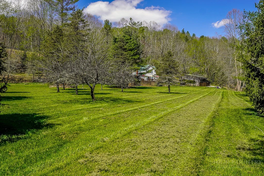 Image number 6 for the current listing