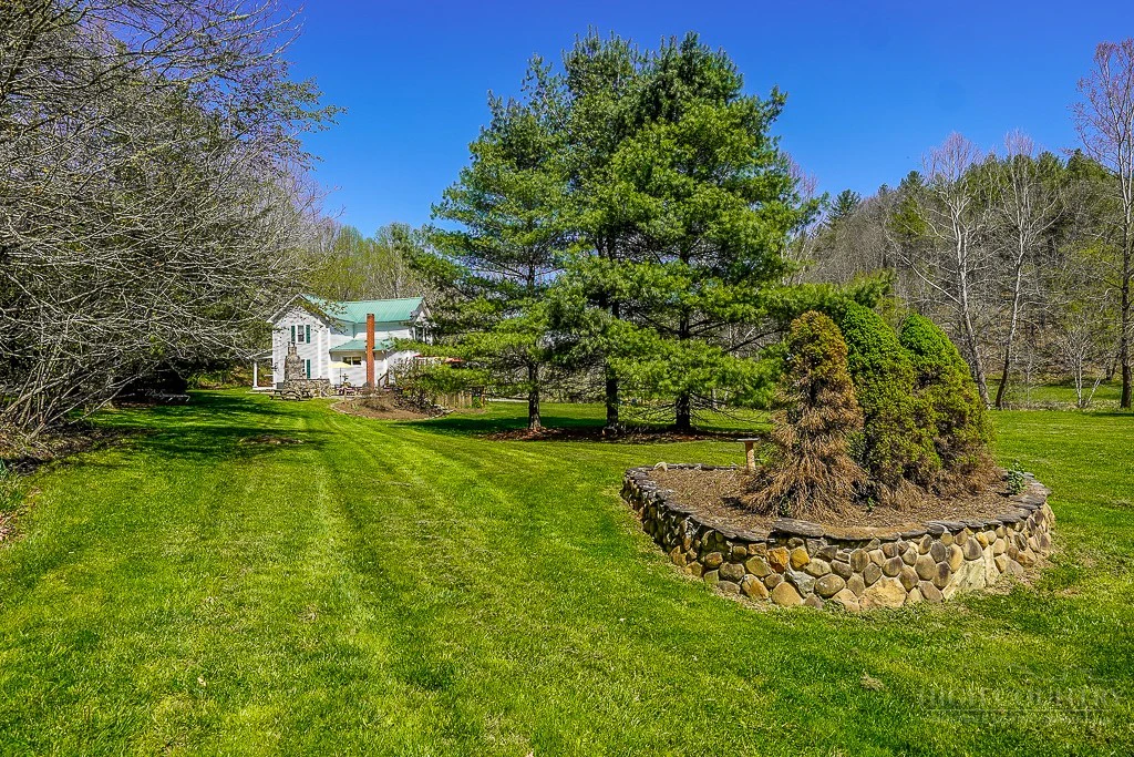 Image number 7 for the current listing
