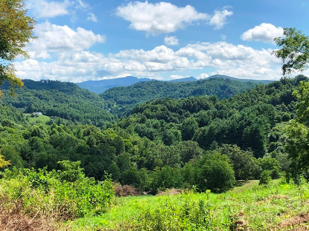 Image number 1 for the current listing