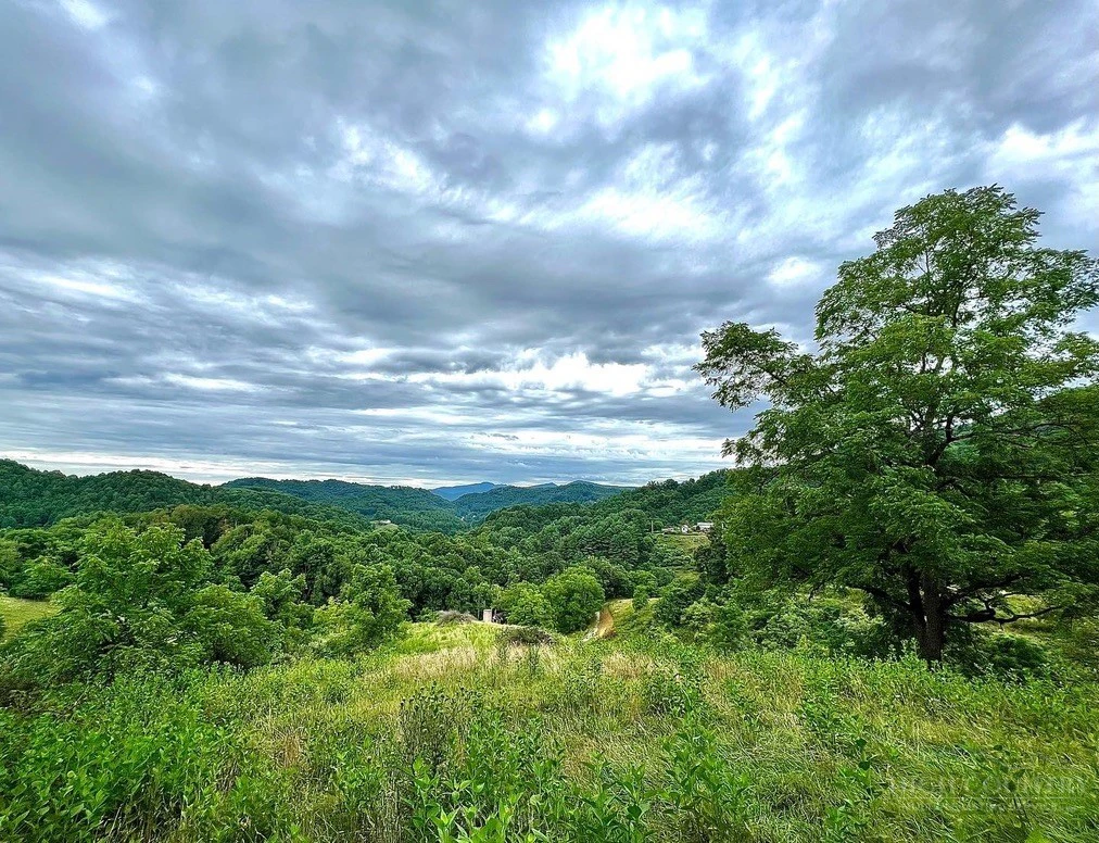 Image number 2 for the current listing