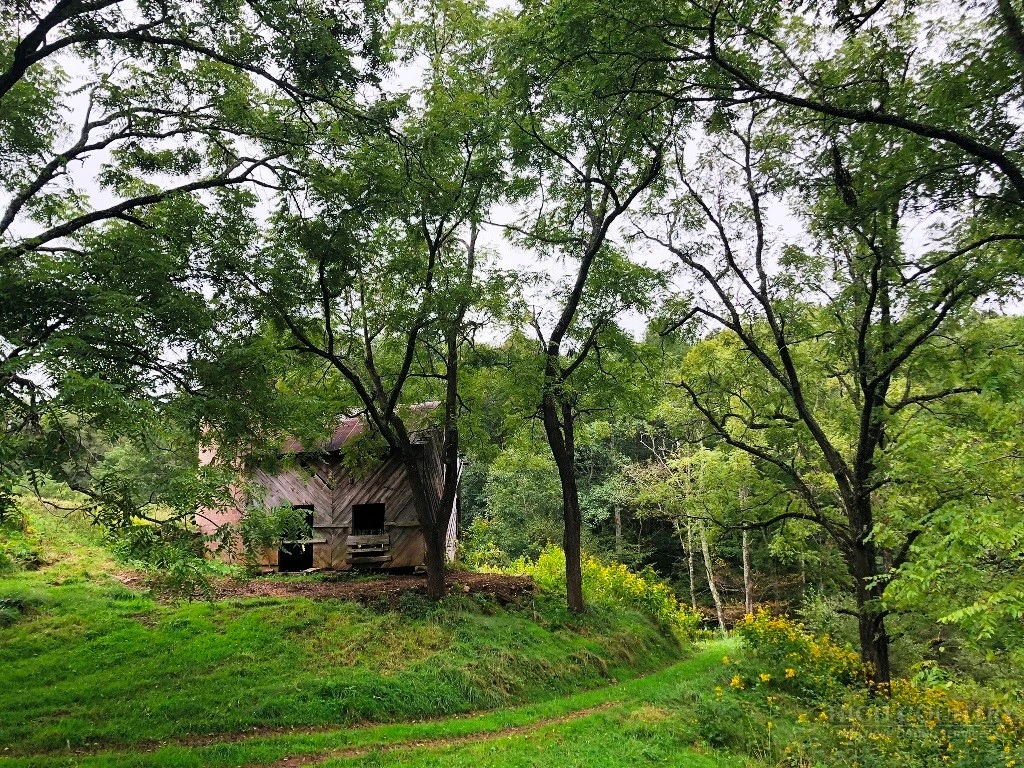 Image number 5 for the current listing