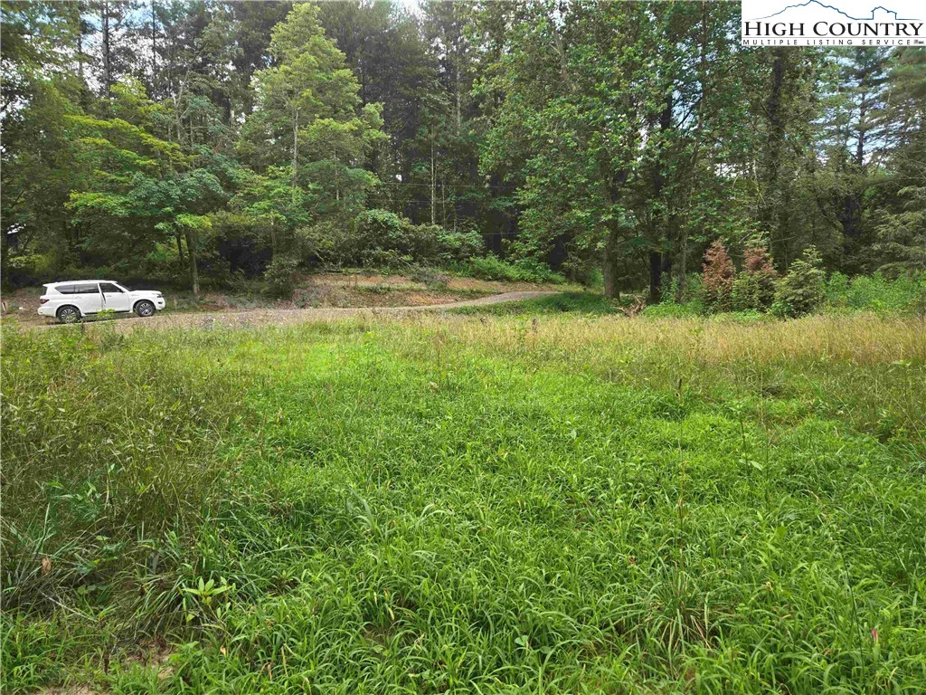 Image number 5 for the current listing