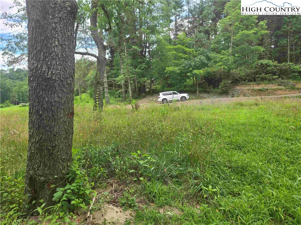 Image number 6 for the current listing