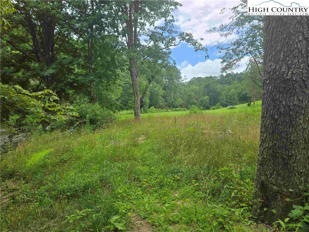 Image number 7 for the current listing