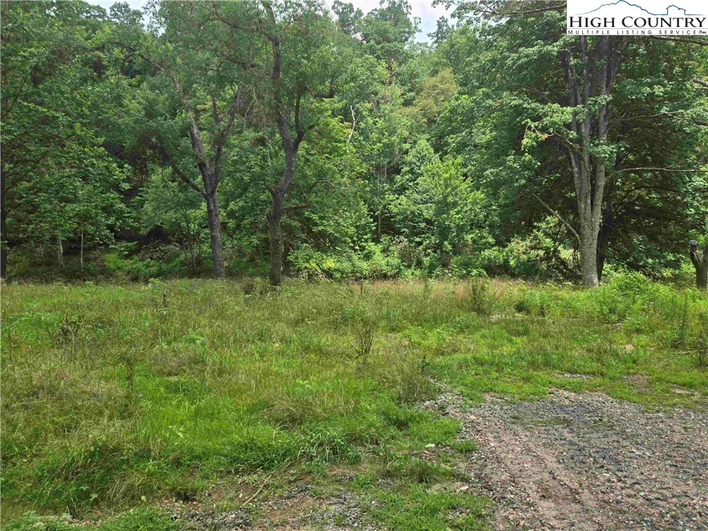 Image number 9 for the current listing