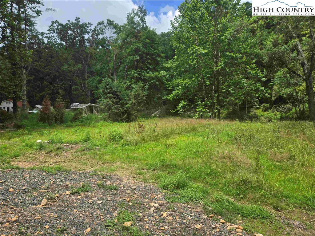 Image number 12 for the current listing