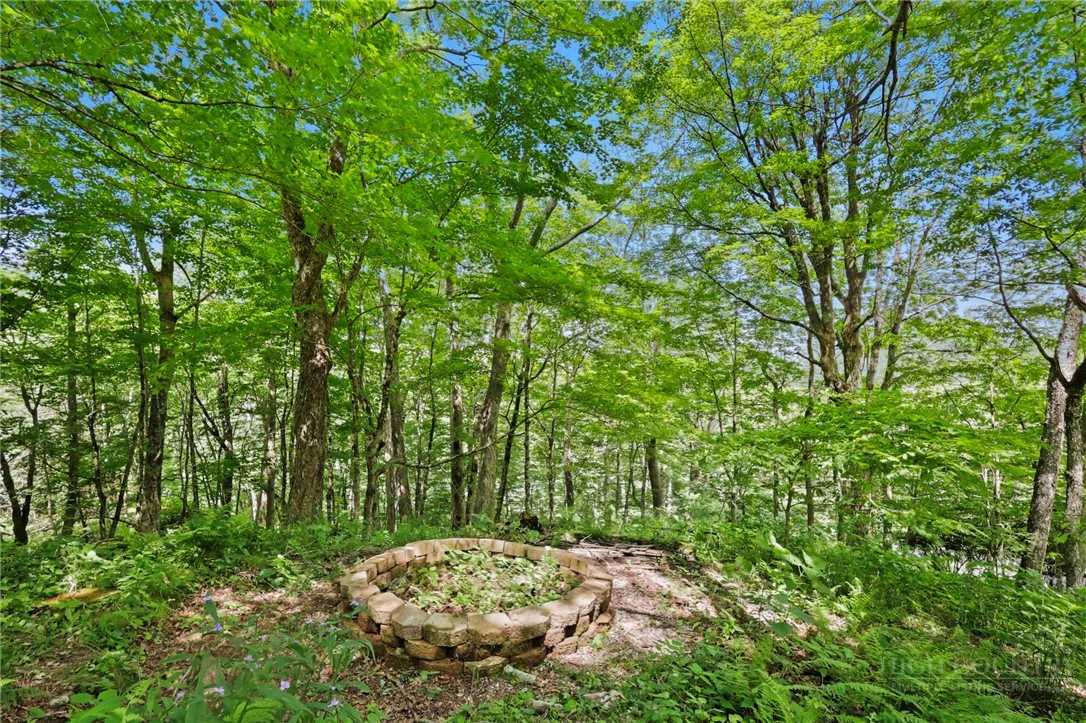 Image number 21 for the current listing