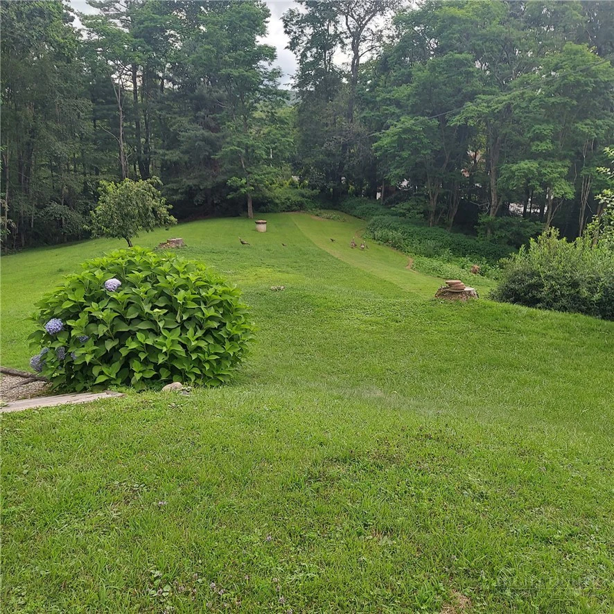 Image number 2 for the current listing