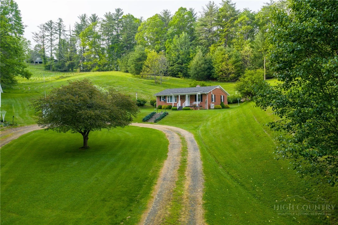 Image number 12 for the current listing