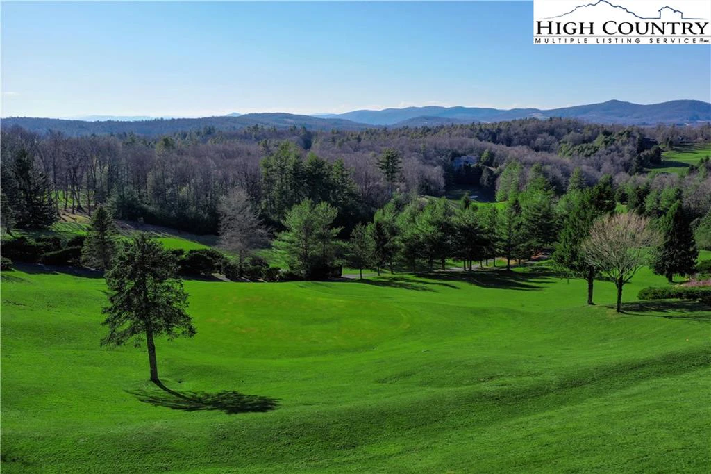 Image number 5 for the current listing