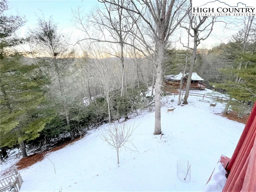 Image number 22 for the current listing