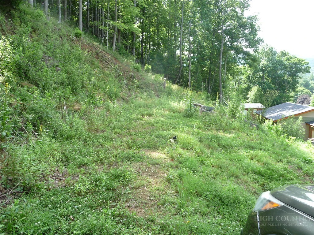 Image number 1 for the current listing