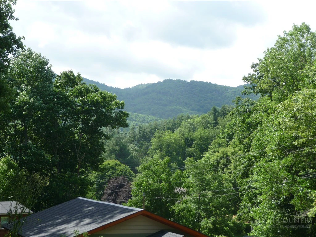 Image number 2 for the current listing
