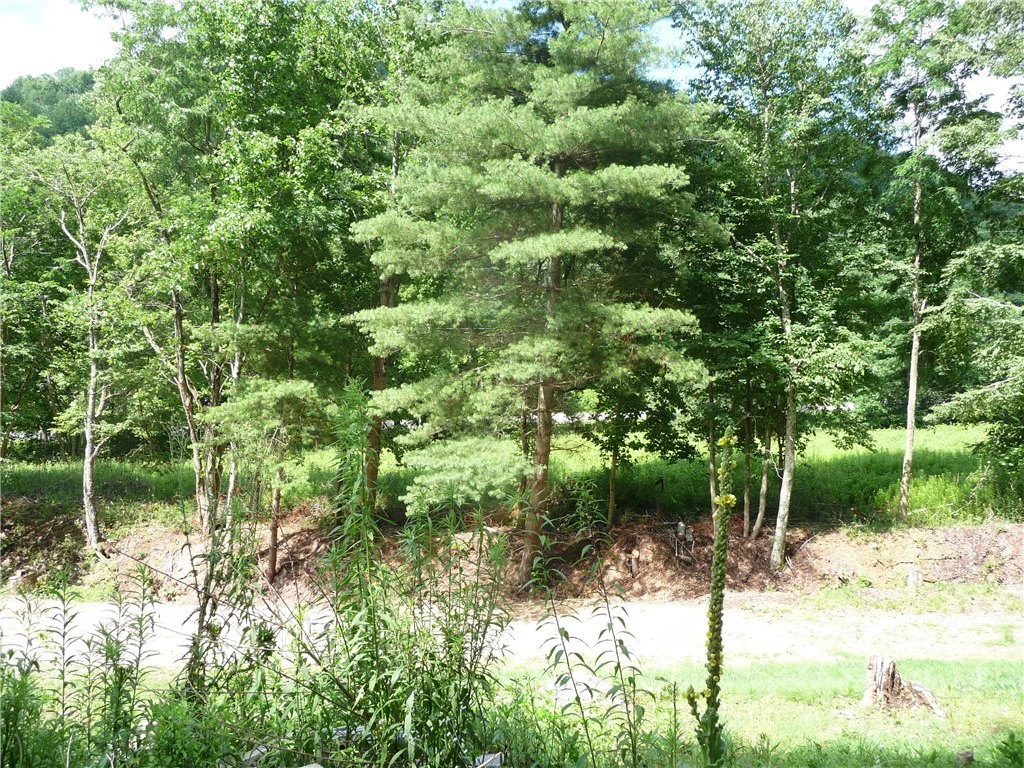 Image number 7 for the current listing