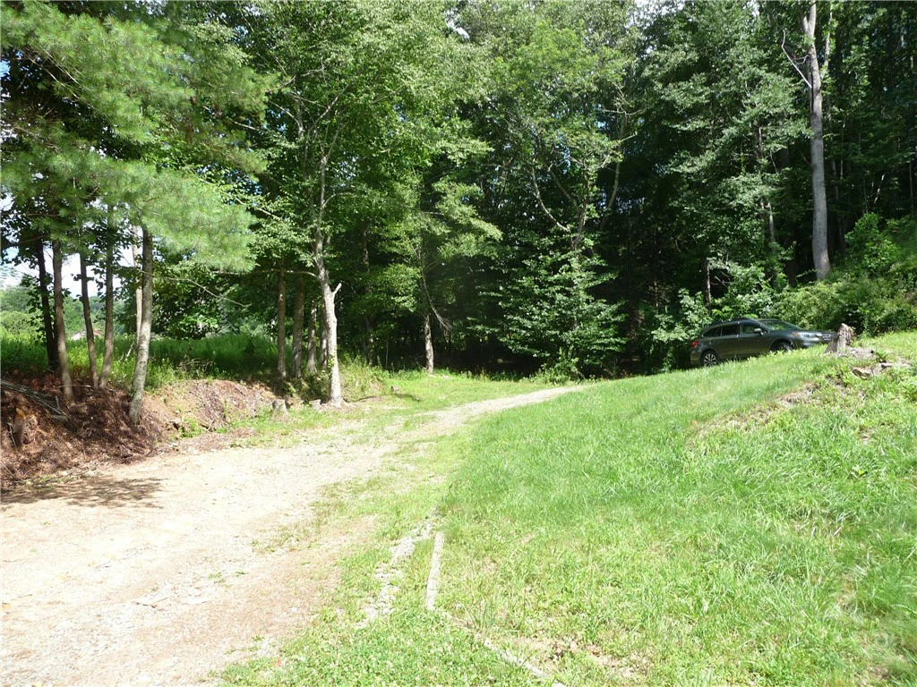 Image number 11 for the current listing