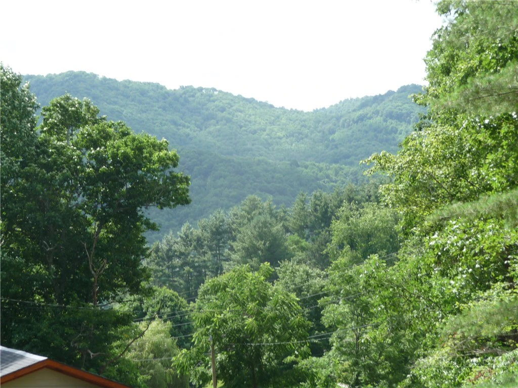 Image number 13 for the current listing