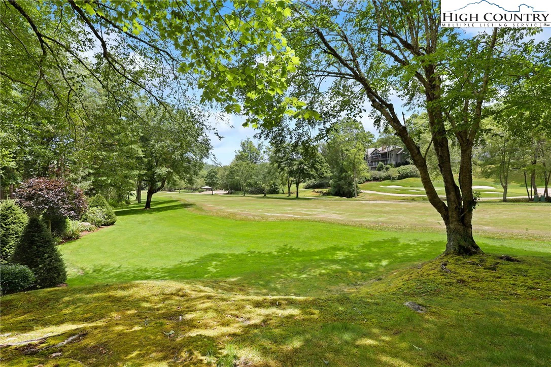 Image number 8 for the current listing