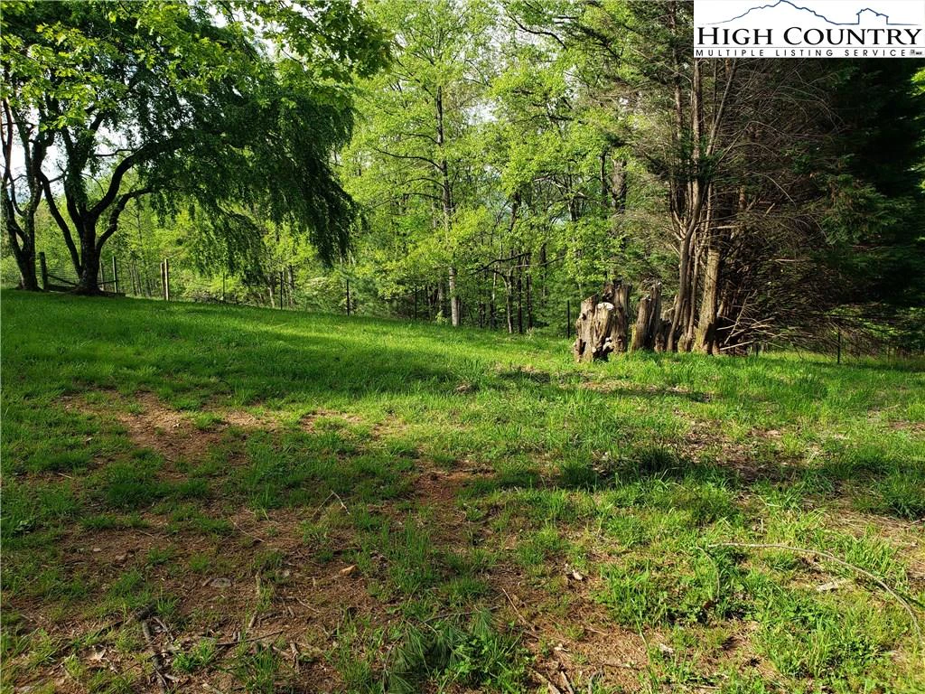 Image number 14 for the current listing