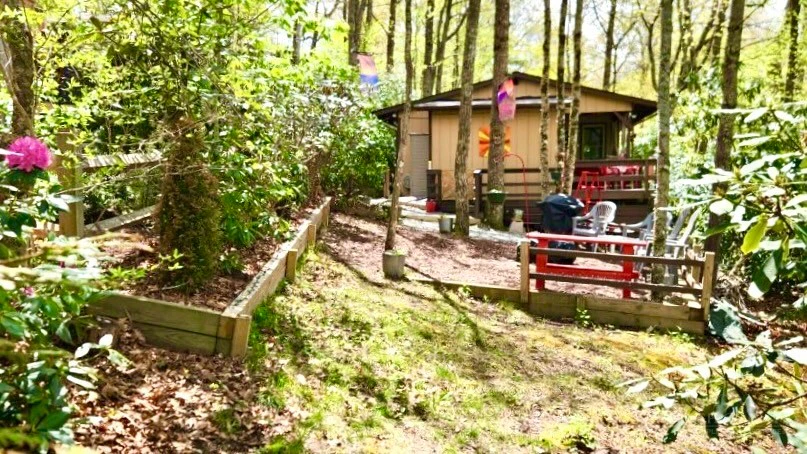 Image number 20 for the current listing