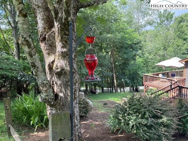 Image number 2 for the current listing