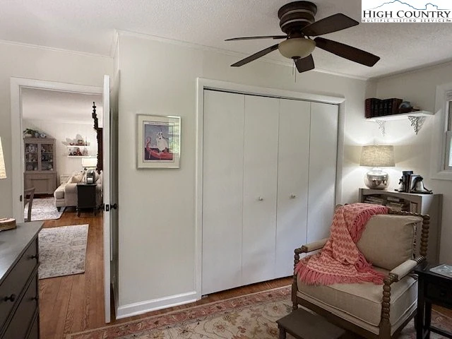 Image number 4 for the current listing