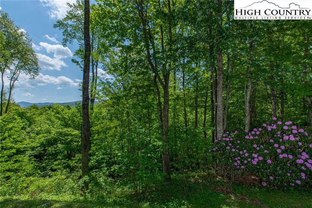 Image number 18 for the current listing