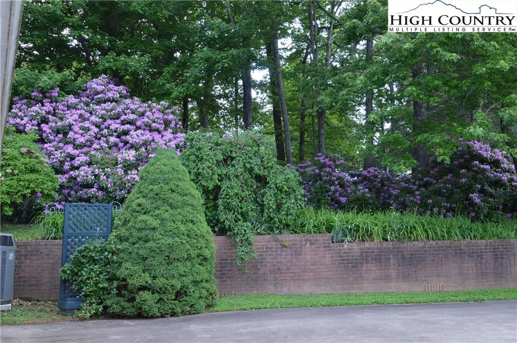 Image number 7 for the current listing
