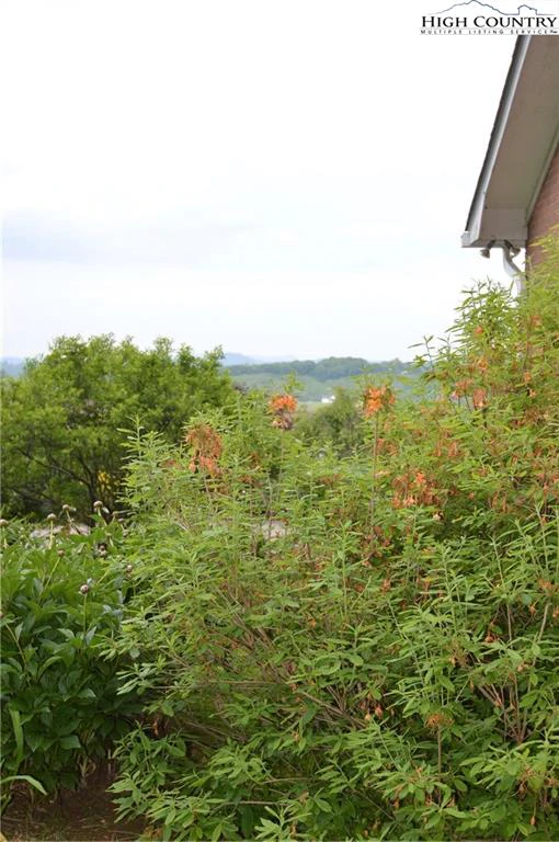 Image number 8 for the current listing